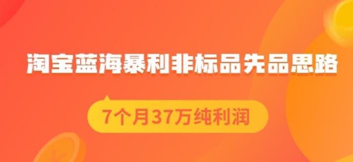 盗坤淘宝蓝海暴利非标品先品思路，7个月37万纯利润，压箱干货分享！【付费文章】_北创网