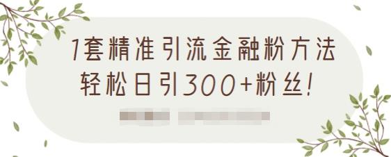 1套精准引流金融粉方法，轻松日引300 粉丝【视频课程】_北创网