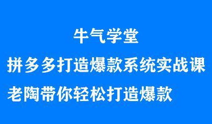 牛气学堂拼多多打造爆款系统实战课，老陶带你轻松打造爆款_北创网