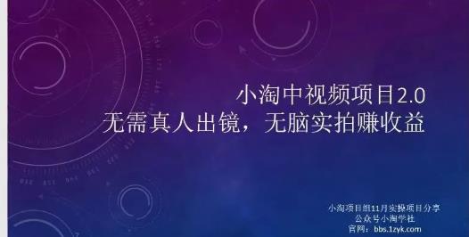 小淘项目组网赚永久会员，绝对是具有实操价值的，适合有项目做需要流程【持续更新】_北创网