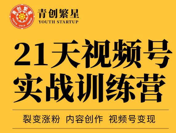 张萌21天视频号实战训练营，裂变涨粉、内容创作、视频号变现 价值298元_北创网