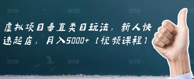 虚拟项目垂直类目玩法，新人快速起店，月入5000 【视频课程】_北创网