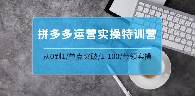 拼多多运营实操特训营：从0到1/单点突破/1-100/带领实操 价值2980元_北创网