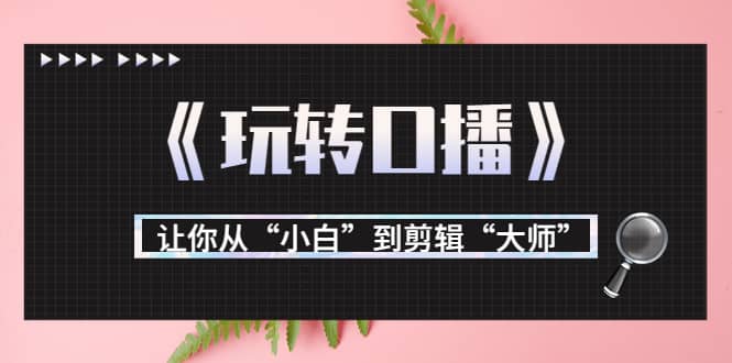 月营业额700万 大佬教您《玩转口播》让你从“小白”到剪辑“大师”_北创网