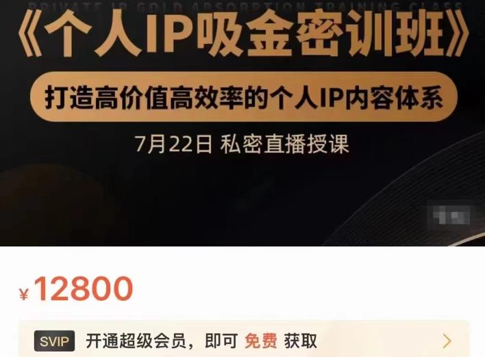 个人IP吸金密训班，打造高价值高效率的个人IP内容体系（价值12800元）_北创网