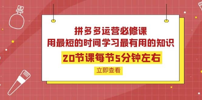 拼多多运营必修课：20节课每节5分钟左右，用最短的时间学习最有用的知识_北创网