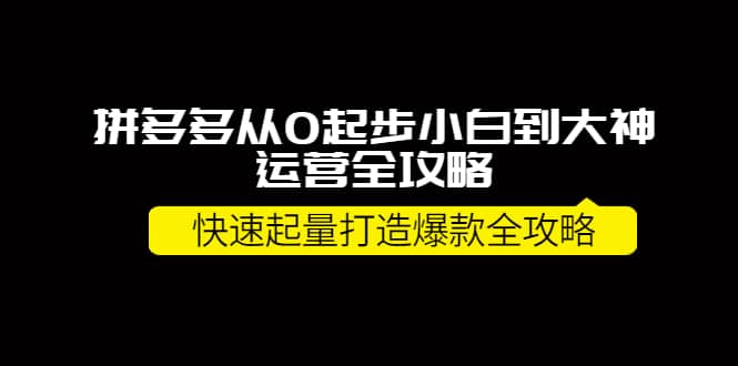 拼多多从0起步小白到大神运营全攻略_北创网