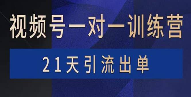 视频号训练营：带货，涨粉，直播，游戏，四大变现新方向，21天引流出单_北创网