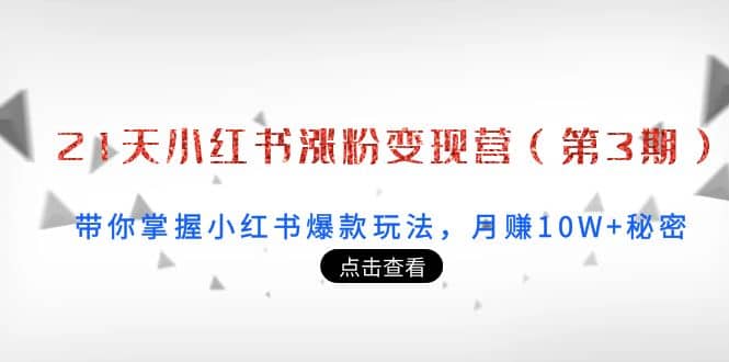 21天小红书涨粉变现营（第3期）：带你掌握小红书爆款玩法，月赚10W 秘密_北创网