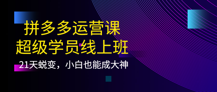 拼多多运营课：超级学员线上班，21天蜕变，小白也能成大神_北创网