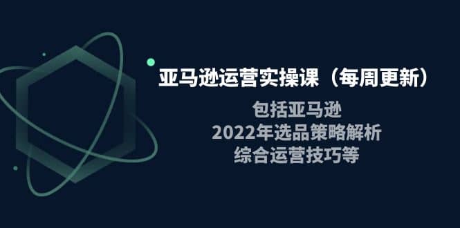 亚马逊运营实操课（每周更新）包括亚马逊2022选品策略解析，综合运营技巧等_北创网