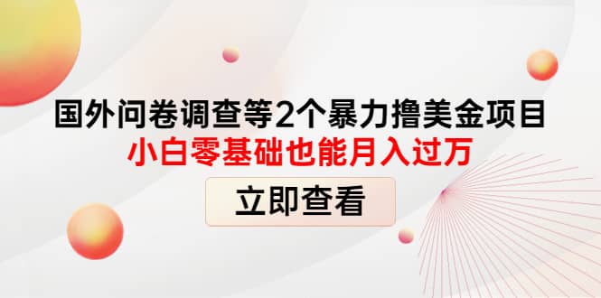 国外问卷调查等2个暴力撸美元项目，小白零基础也能月入过万_北创网