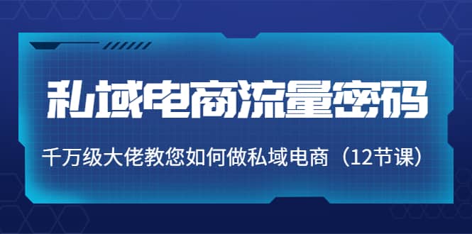 私域电商流量密码：千万级大佬教您如何做私域电商（12节课）_北创网