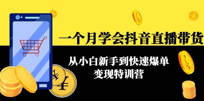 一个月学会抖音直播带货：从小白新手到快速爆单变现特训营(63节课)_北创网