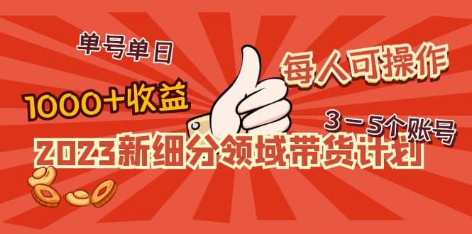 2023新细分领域带货计划：单号单日1000 收益不难，每人可操作3-5个账号_北创网