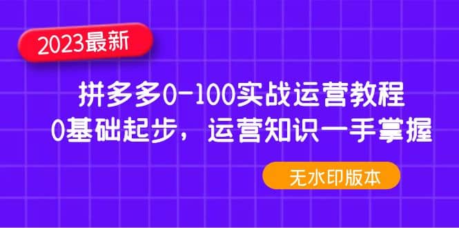 2023拼多多0-100实战运营教程，0基础起步，运营知识一手掌握（无水印）_北创网