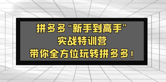 拼多多“新手到高手”实战特训营：带你全方位玩转拼多多_北创网