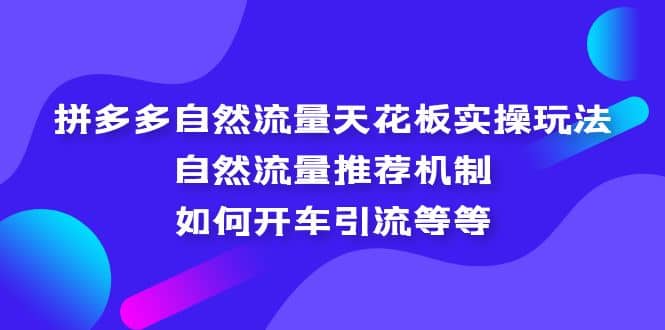 拼多多自然流量天花板实操玩法：自然流量推荐机制，如何开车引流等等_北创网