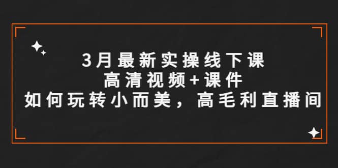 3月最新实操线下课高清视频 课件，如何玩转小而美，高毛利直播间_北创网