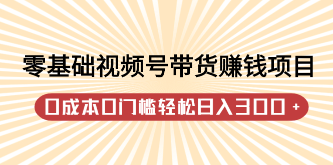 零基础视频号带货赚钱项目，0成本0门槛轻松日入300 【视频教程】_北创网