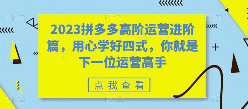 2023拼多多高阶运营进阶篇，用心学好四式，你就是下一位运营高手_北创网