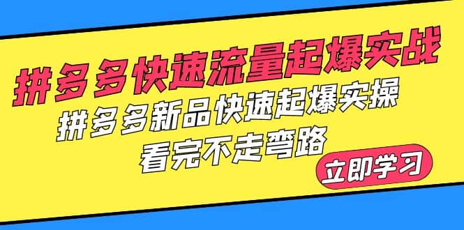 拼多多-快速流量起爆实战，拼多多新品快速起爆实操，看完不走弯路_北创网