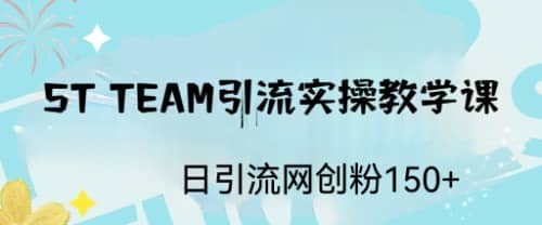 ST TEAM引流实操课，日引流网创粉100_北创网