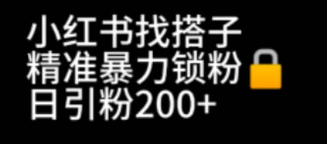 小红书找搭子暴力精准锁粉 引流日引200 精准粉_北创网