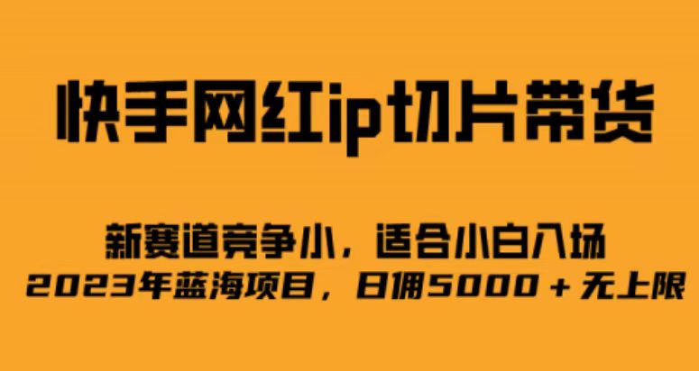 快手网红ip切片新赛道，竞争小事，适合小白 2023蓝海项目_北创网