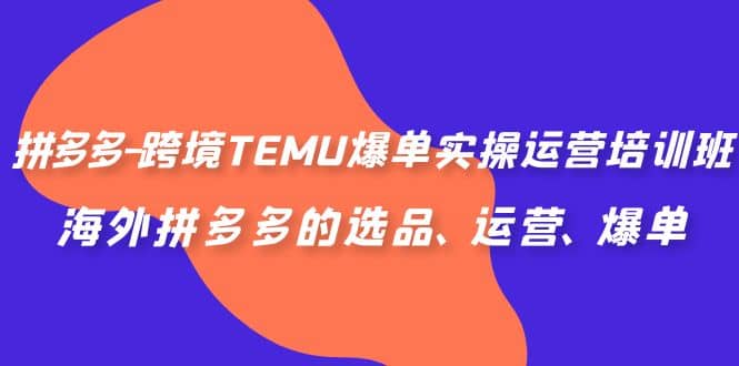 拼多多-跨境TEMU爆单实操运营培训班，海外拼多多的选品、运营、爆单_北创网