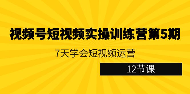 ：7天学会短视频运营（12节课）_北创网