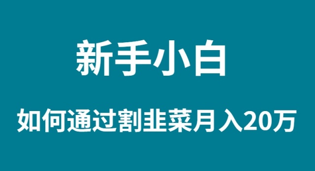 新手小白如何通过割韭菜月入 20W_北创网