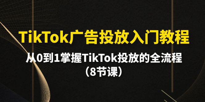 TikTok广告投放入门教程，从0到1掌握TikTok投放的全流程（8节课）_北创网