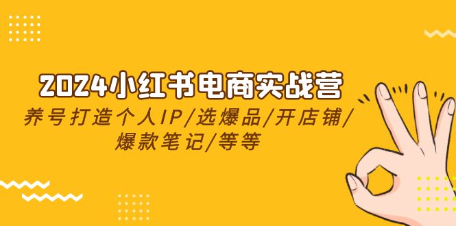 2024小红书电商实战营，养号打造IP/选爆品/开店铺/爆款笔记/等等（24节）_北创网