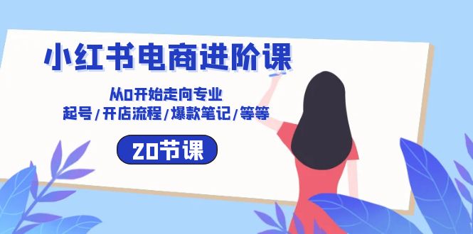 小红书电商进阶课：从0开始走向专业 起号/开店流程/爆款笔记/等等（20节）_北创网