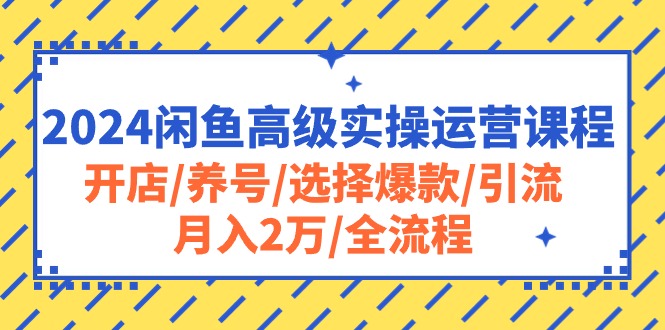 2024闲鱼高级实操运营课程：开店/养号/选择爆款/引流/月入2万/全流程_北创网