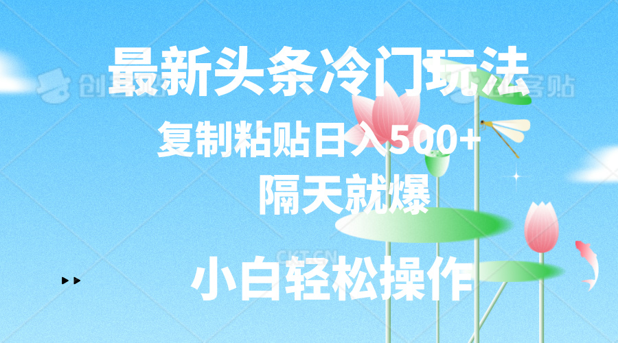 最新头条冷门玩法，隔天就爆，复制粘贴日入500+_北创网