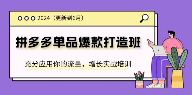 2024拼多多-单品爆款打造班(更新6月)，充分应用你的流量，增长实战培训_北创网