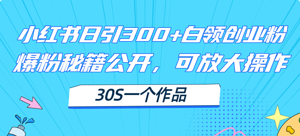 小红书日引300+高质白领创业粉，可放大操作，爆粉秘籍！30s一个作品_北创网