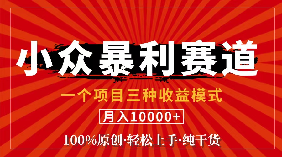 视频号【中老年粉深信不疑】小众赛道 100%原创 手把手教学 新号3天收益…_北创网