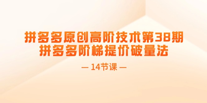 ，拼多多阶梯提价破量法（14节课）_北创网