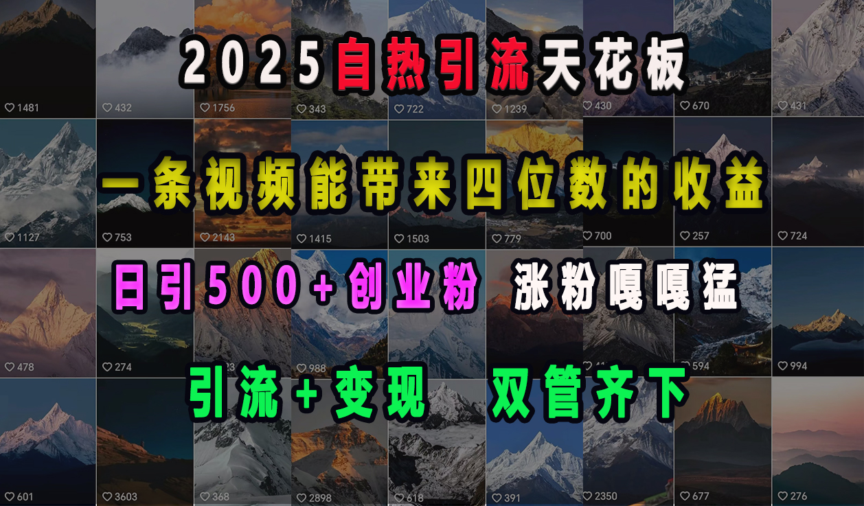 2025自热引流天花板，一条视频能带来四位数的收益，引流+变现双管齐下，日引500+创业粉，涨粉嘎嘎猛_北创网