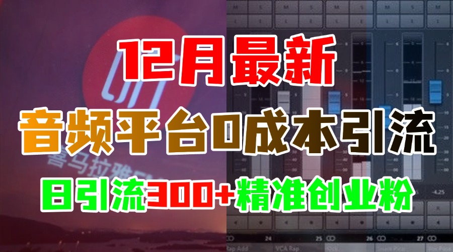 12月最新：音频平台0成本引流，日引300+精准创业粉_北创网