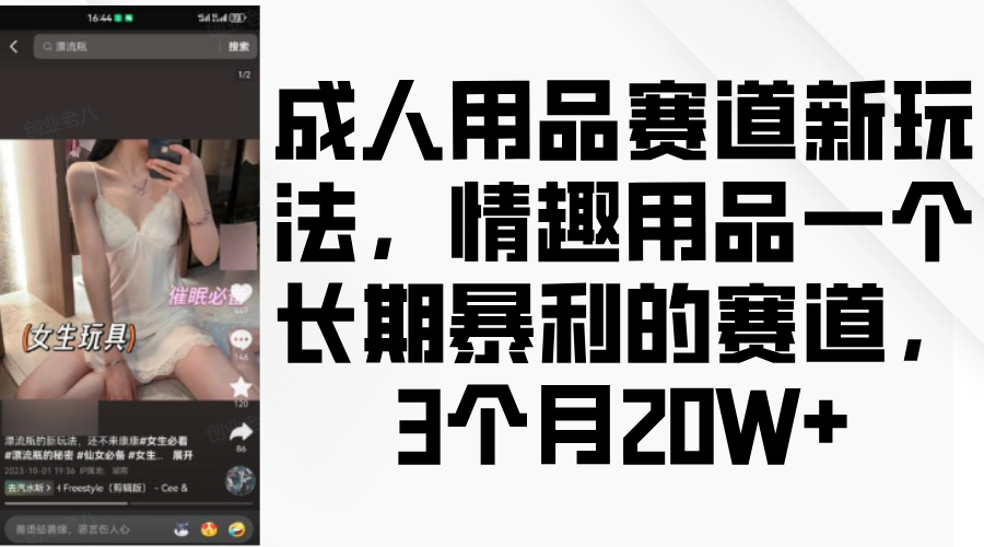 情趣用品一个长期暴利的赛道，成人用品赛道新玩法，3个月20W+_北创网